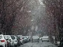 بارش برف جلوه‌ای زیبا به خیابان‌های آباده فارس داد/ ویدئو 