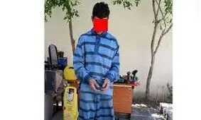 اعترافات سارق خودرو در بهشت زهرای تهران/ ویدئو