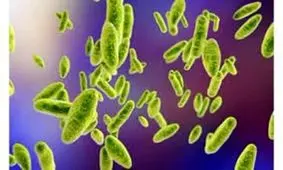 کنترل بیماری تب مالت در دیشموک