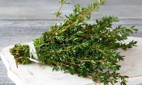 ساخت حسگر آنفلوآنزا با طعمی مشابه آویشن