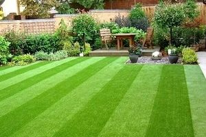 این 3 اشتباه، چمن مصنوعی را زودتر از موعد خراب می‌کند


