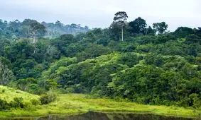 خطر انقراض گونه های جهانی فراتر از تصور است