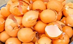 کاربردهای جالب پوست تخم مرغ در خانه