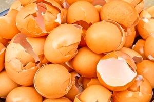 کاربردهای جالب پوست تخم مرغ در خانه