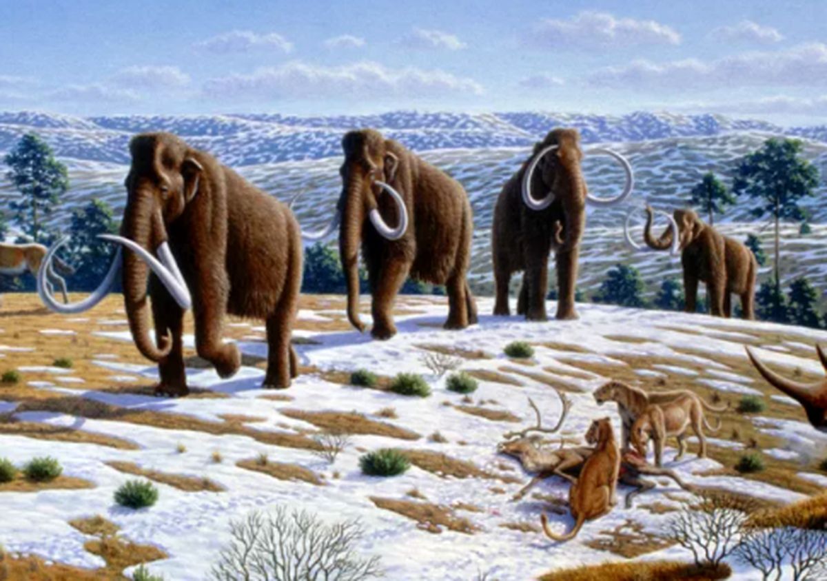 این ۱۴ گونه باستانی با «شبیه‌سازی» به حیات وحش بازمی‌گردند