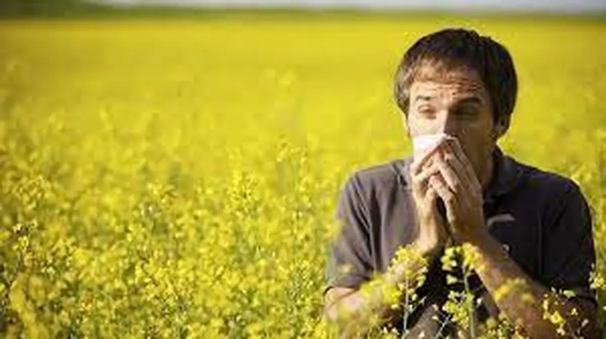تب یونجه چیست؟/ راهکارهای درمان خانگی تب یونجه