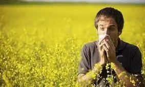 تب یونجه چیست؟/ راهکارهای درمان خانگی تب یونجه