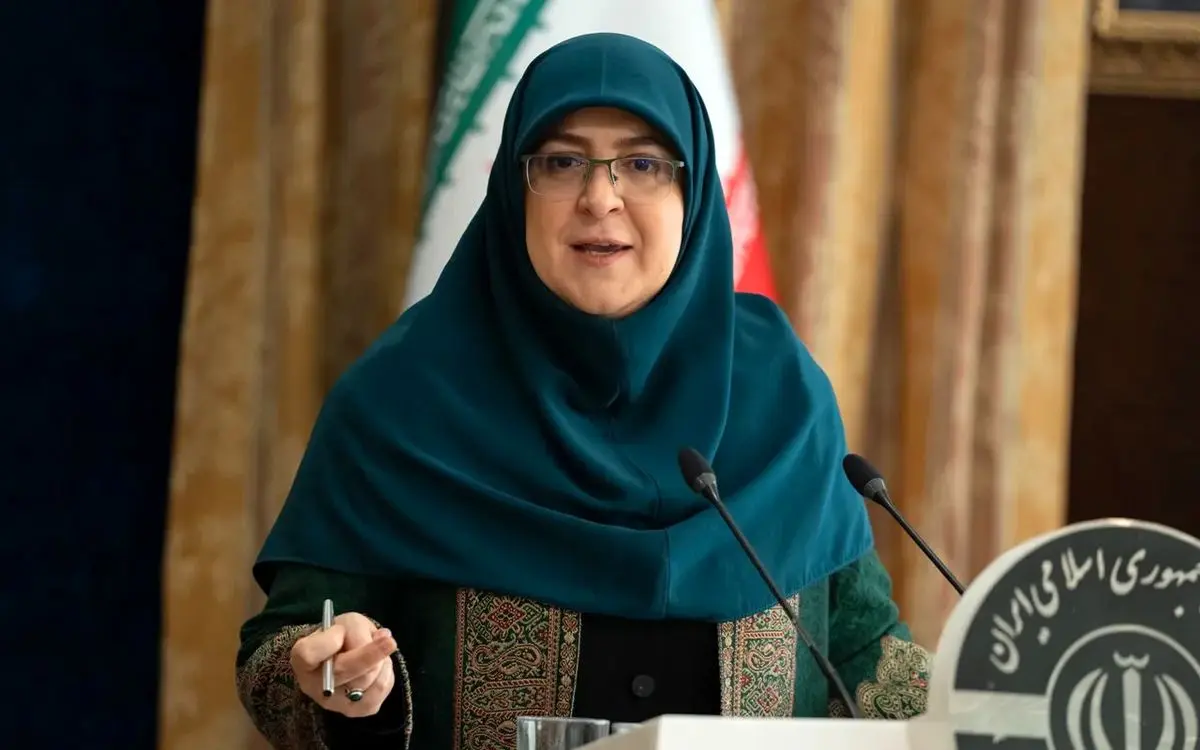 واکنش سخنگوی دولت به شوخی‌هایی که با او در فضای مجازی می‌شود/ ویدئو