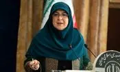 واکنش سخنگوی دولت به شوخی‌هایی که با او در فضای مجازی می‌شود/ ویدئو