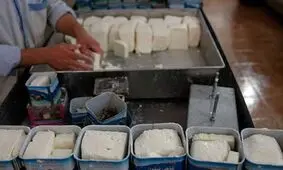 جهش قیمت پنیر در میادین