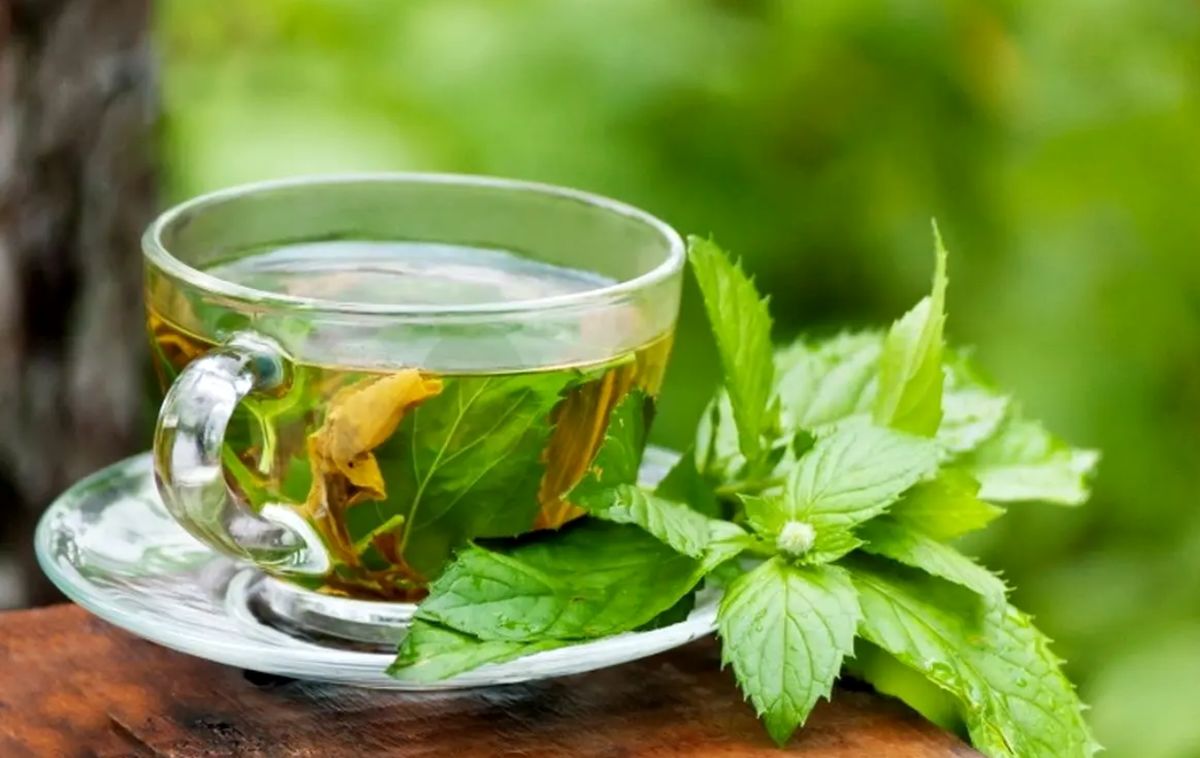 بهترین نوشیدنیها برای درمان نفخ شکم