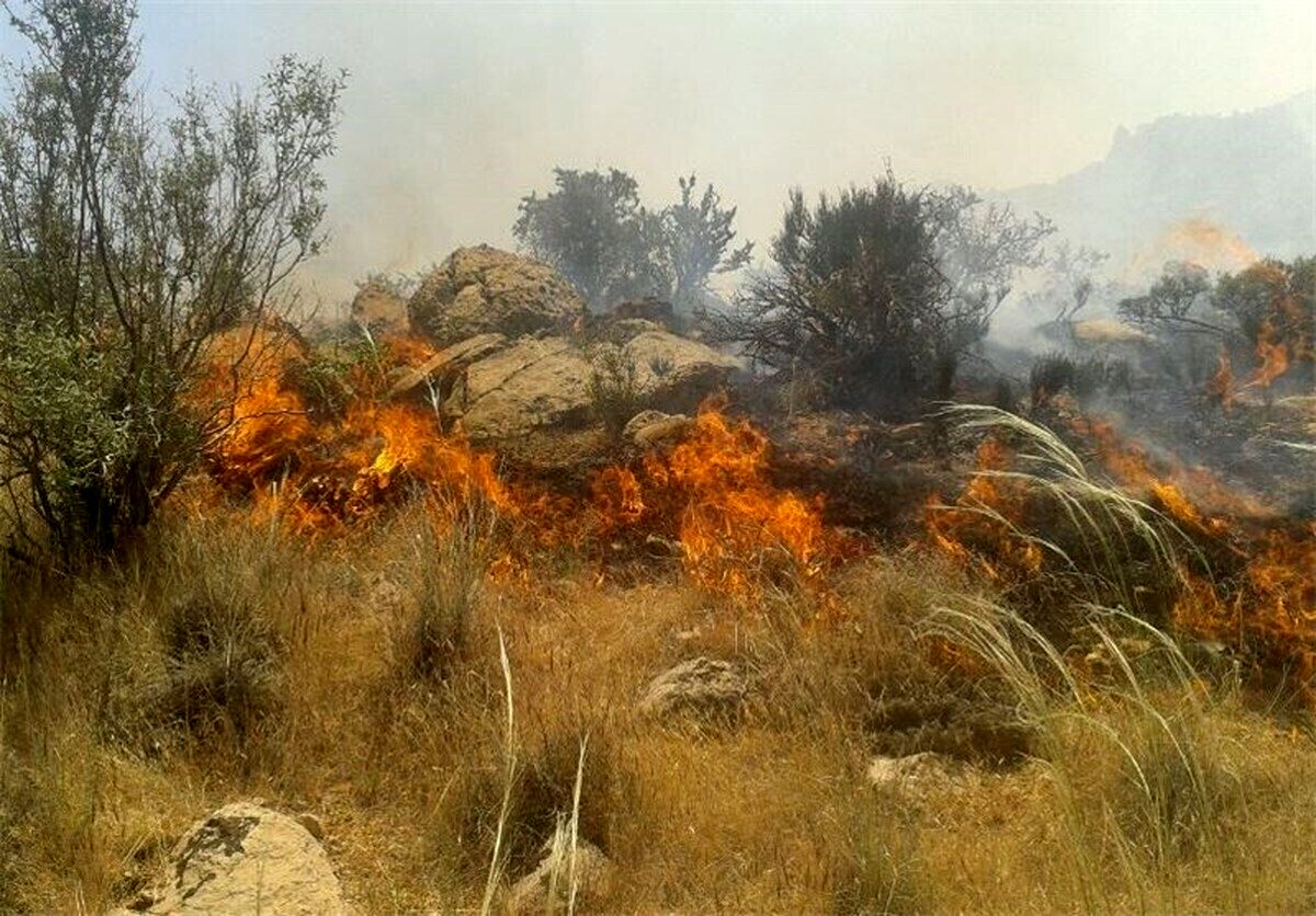 علت آتشسوزی جنگلهای خرمآباد چه بود؟