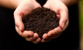 کمپوست انسانی؛ چگونه پس از مرگ، جسد انسان به کود تبدیل می‌شود؟