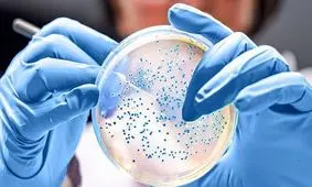 باکتری "شیگلا" عامل بروز بیماری گوارشی در روستای چنارعلیا/ سمی در بدن کودک فوت شده یافت نشد