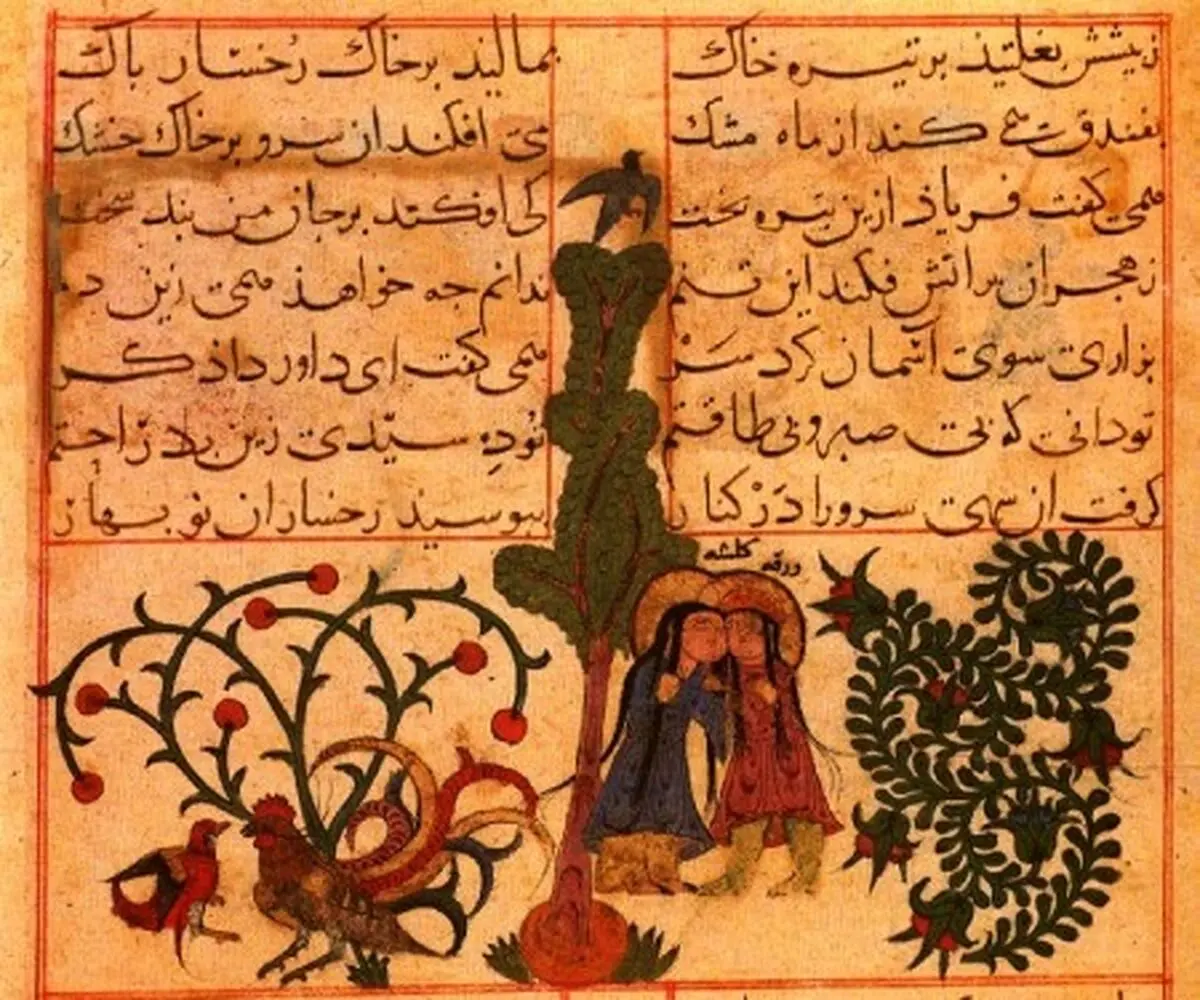 عَیّوقی، یکی از سرایندگان سده پنجم قمری
