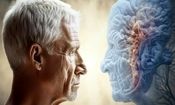 مغز انسان ۳ موج پیری را تجربه می‌کند