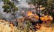 آتش‌سوزی در عرصه‌های طبیعی سه منطقه در کهگیلویه بویر احمد