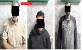 عاملان دستبرد به منازل در تور پلیس!