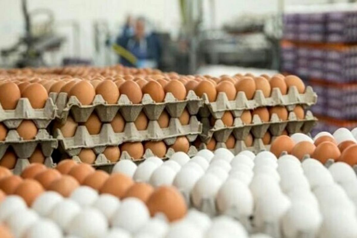 قیمت تخم‌ مرغ به ۳۹ هزار تومان کاهش یافت