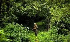 ورود به جنگل های مازندران ممنوع شد/ ویدئو
