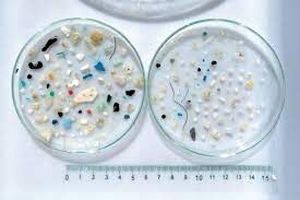 میکروپلاستیک‌ها در سراسر قاره‌ها سفر می‌کنند