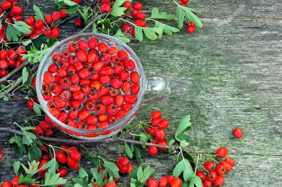 این میوه پاییزی پرطرفدار عفونت ریه را درمان میکند