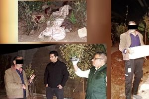 پدر برای دفاع از جان خود سر پسر معتادش را خرد کرد