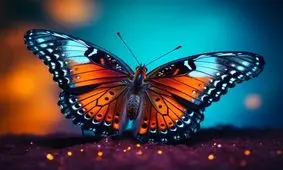 تست بینایی/  آیا می توانید پروانه را پیدا کنید؟