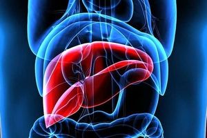 الکل چگونه به کبد آسیب میزند؟