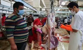 ابتلای ۶۷ و فوت ۷ نفر بر اثر ابتلا به تب کریمه کنگو از ابتدای سال

