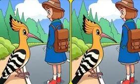 تست بینایی/ در 6 ثانیه تفاوت های دو تصویر شانه به سر و دخترک را پیدا می کنند