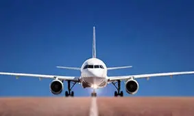 مسافر، موش دید؛ پرواز با تاخیر انجام شد!