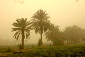 گرد و غبار ۱۵ شهر خوزستان را درگیر کرد