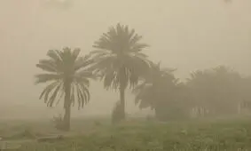 گرد و غبار ۱۵ شهر خوزستان را درگیر کرد