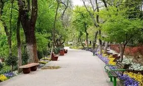 توضیحات وصی محتشمی پور درباره ساخت مسجد در قیطریه