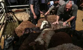 توصیه های وزارت بهداشت در آستانه عید قربان