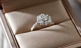 کشف یک حلقه طلا در دل ۲۰ تُن زباله