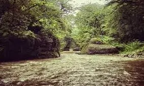 سقوط ۲ زن به ته دره در سوادکوه شمالی