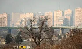 هاله بنفش روی تهران نشانه مازوت سوزی است