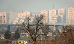 هاله بنفش روی تهران نشانه مازوت سوزی است