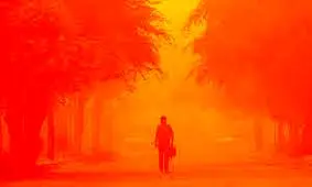 گردوغبار آسمان شهرهای استان یزد را سیاه کرد/ ویدئو