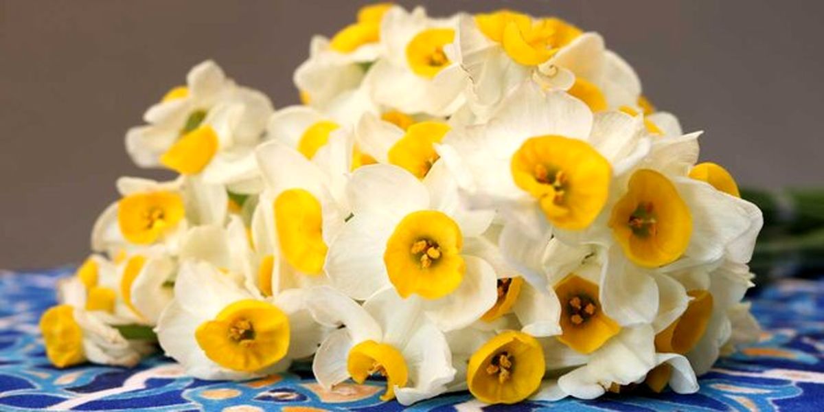 قیمت های جدید گل برای روز مادر