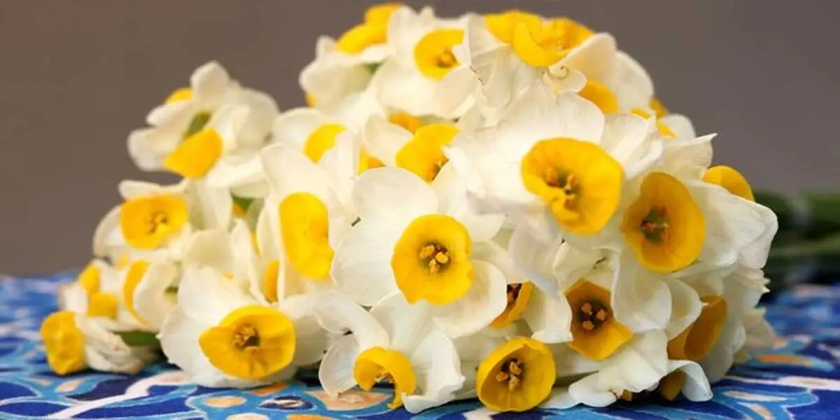 قیمت های جدید گل برای روز مادر