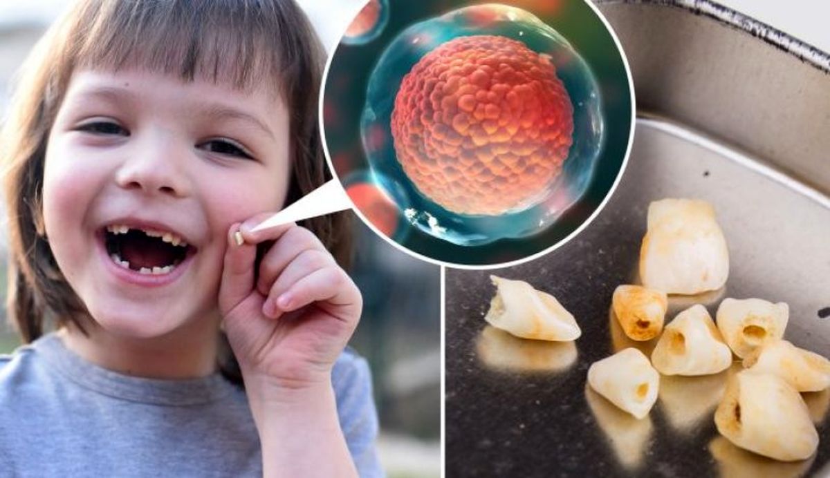 توصیه دندان پزشکان: دندان های شیری کودکان را دور نیندازید!