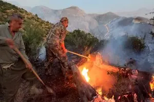 استمرار آتش‌سوزی در جنگل‌های هیرکانی/ ۶ نقطه گلستان گرفتار حریق است