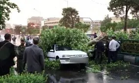 طوفان در راه ۲۳ استان