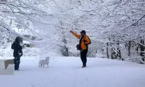 کاهش محسوس دما در کشور