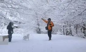 کاهش محسوس دما در کشور