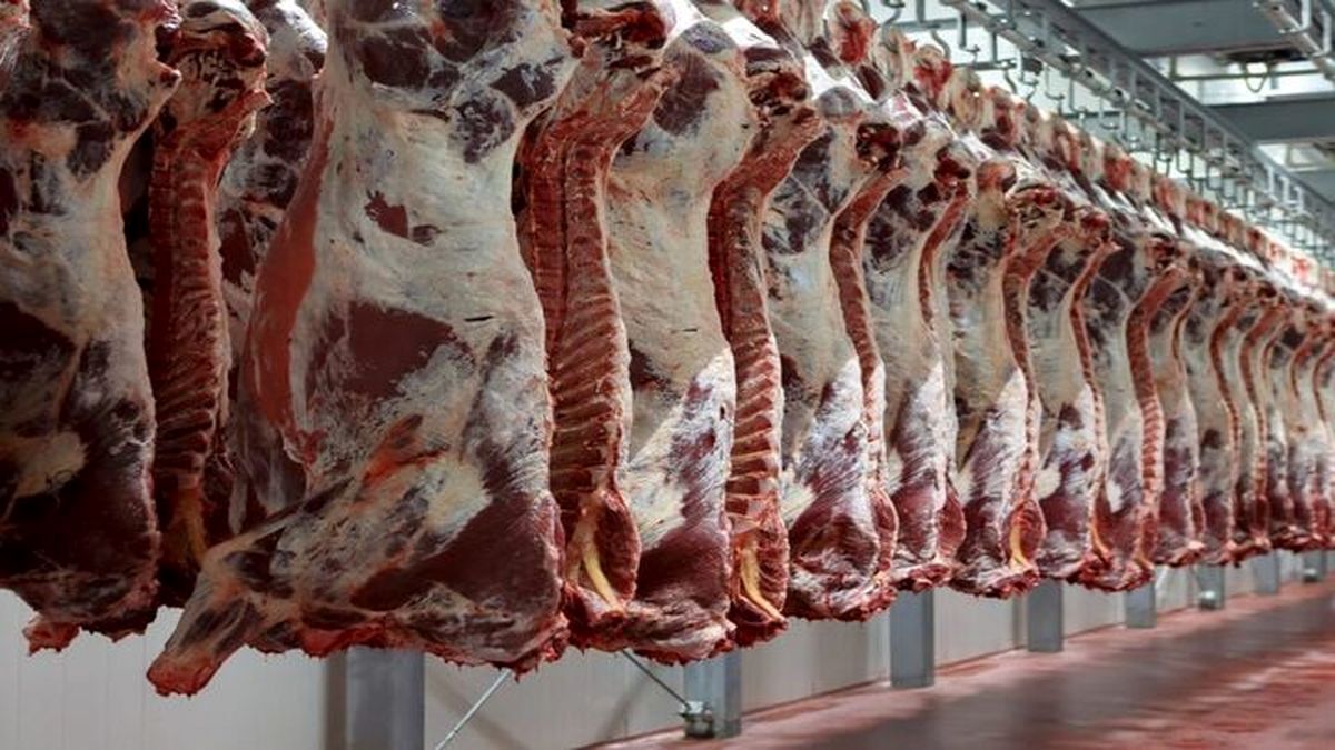 آیا ارز نیمایی گوشت قرمز حذف شد؟