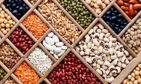 قیمت انواع لوبیا در بازار
